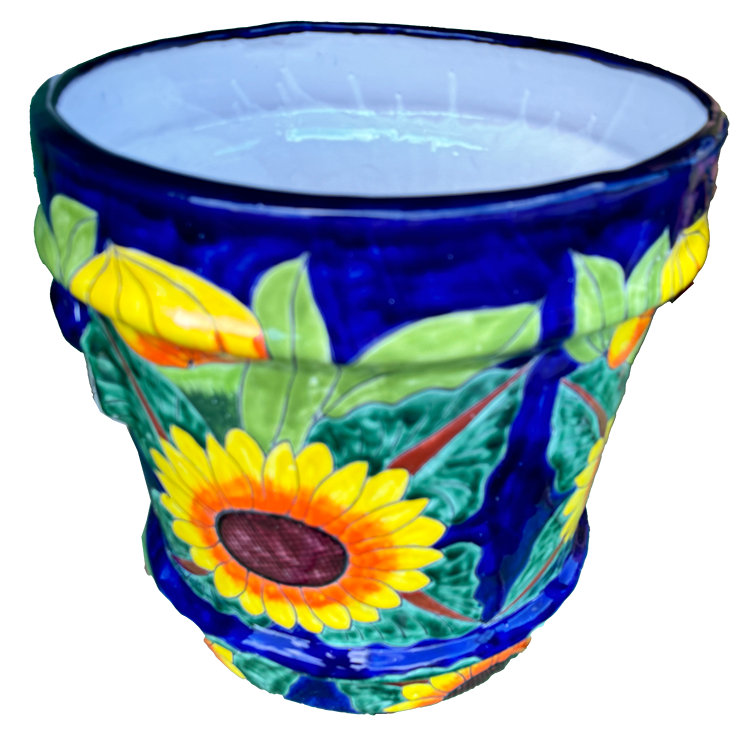 Blue Sunflower Pot-image