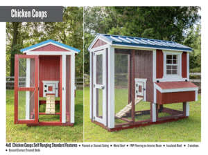 4x8 Chicken Coops-image