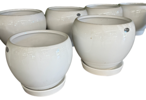 Bone Color Ceramic Pots-image