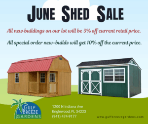 June Shed advertisement